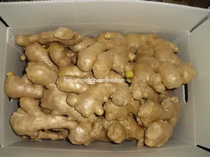 Dried ginger  2020