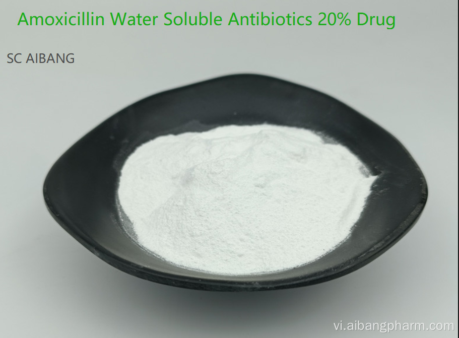 Bột hòa tan trong nước amoxicillin 20% thuốc cho gia súc