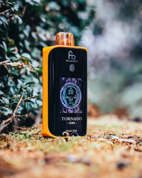 Bulk Buy Fumot Tornado 25000 Touch Disposable Vape