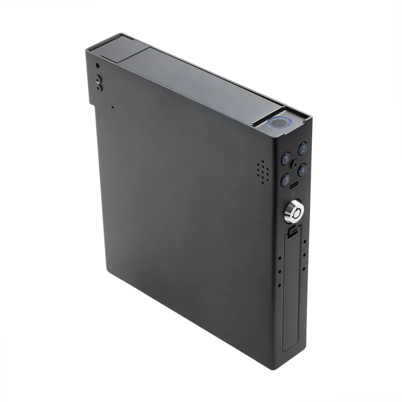 2025 New Product Car Safe Box