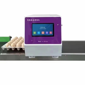 High Quality Automatic Tij Printer for Egg Expiration Date Coding