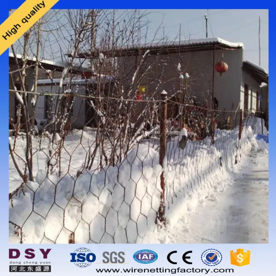 Anping Galvanized Hexagonal Wire Mesh