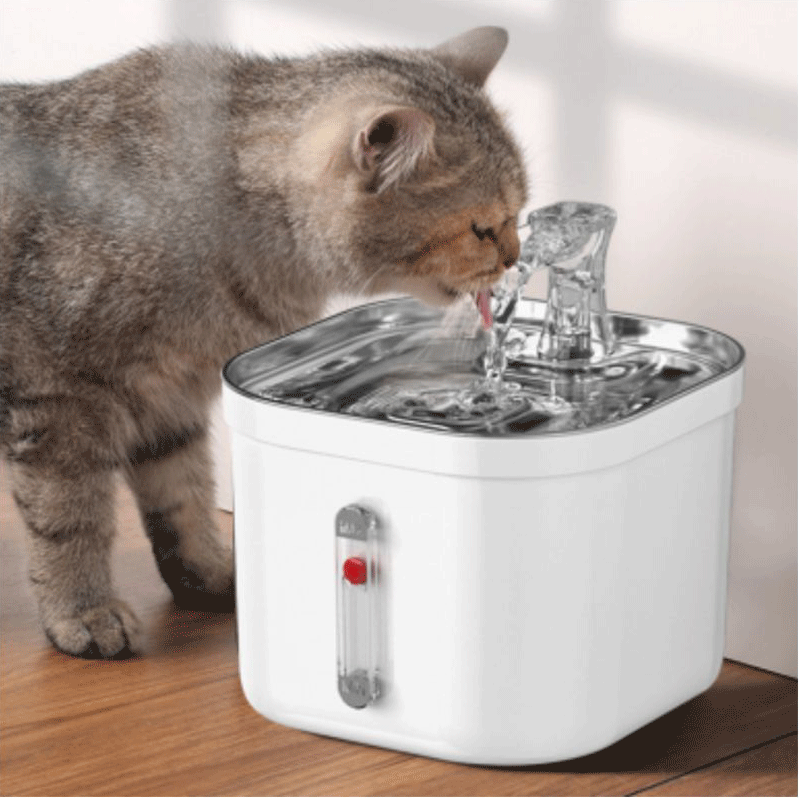 آب سردکن حیوانات خانگی سازگار با محیط زیست با فیلتر خوب