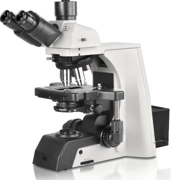 BestScope BS-2081 Super Wide Field Plan oculair oculair trinoculaire biologische microscoop