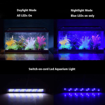 cultivar luzes para plantas de água interna