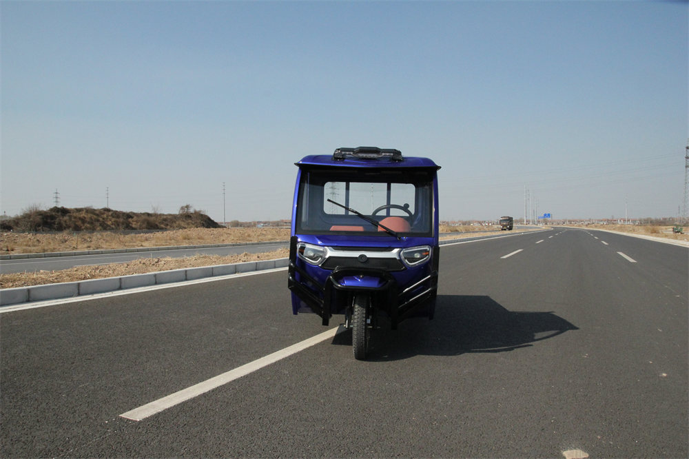 Blue Body Design Electric Tricycle