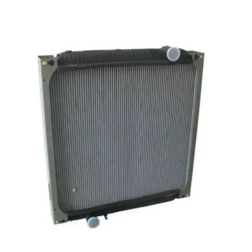 WG9725530011 Radiateur pour Howo Sinotruk WG9625531268 WG9612531267