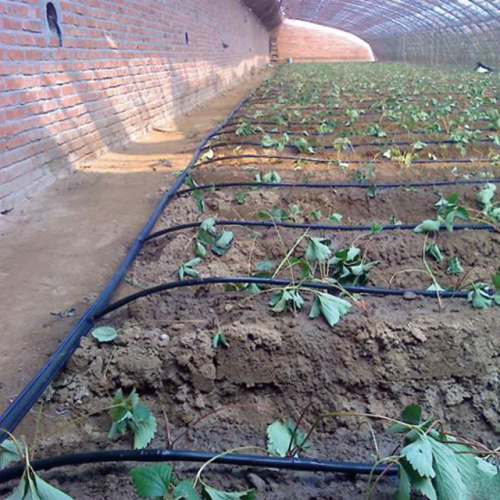 Drip Irrigation Drip Tape for Agriculture