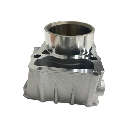 Kawasaki KLX300 & KLX250 Motorcycle Engine Parts and Accessories: Cylinder & Piston