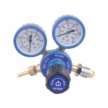 Single Stage Gas Pressure Regulator: Understanding and Applications