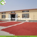 Factory Wholesale Nutrition Natural Zhongning Goji Berry