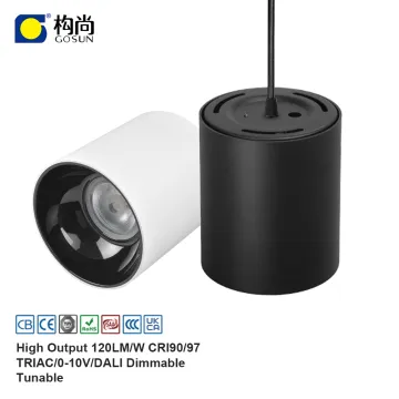 IP65 Waterproof Black White Round Surface Mounted COB Suspended LED Downlight