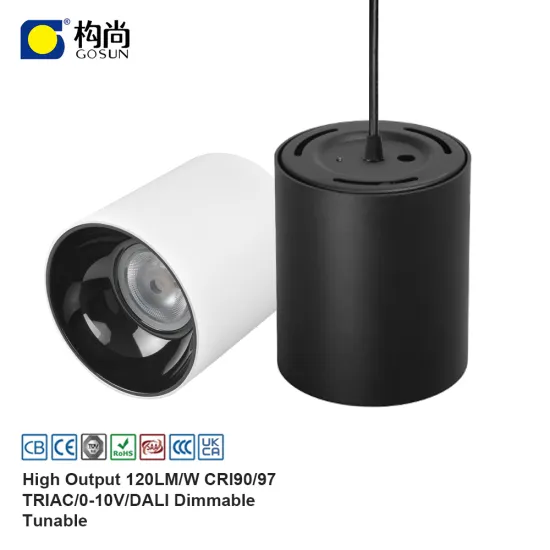 IP65 Waterproof Black White Round Surface Mounted COB Suspended LED Downlight