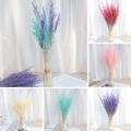 50pcs natural plant colored oat dried flower hay