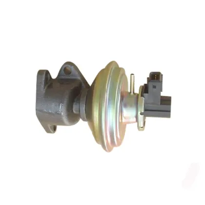 Haval Car EGR Valve 1207100-E06-B1