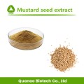 Weißes Senf-Samen-Extrakt-Pulver 10: 1