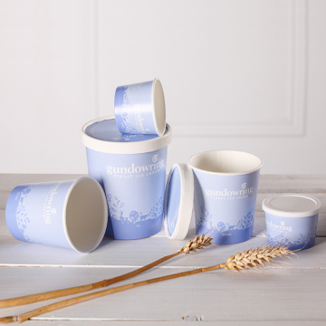 Custom Printing Hot Soup Cups