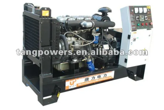25kva Lion generators