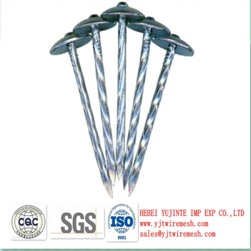 galvanized umbrella roofing nails with smooth/twist shank