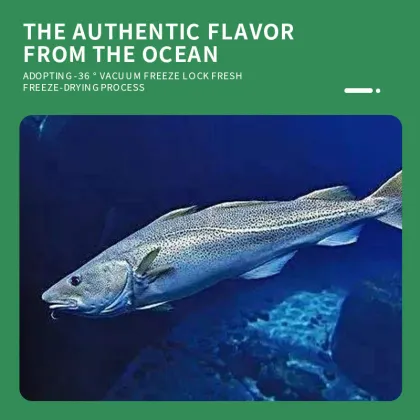 Wholesale Supplier of Nutritious Cat Treats: Dry Fish, Freeze-Dried Arctic Cod Fillets & Stockfish for Sale