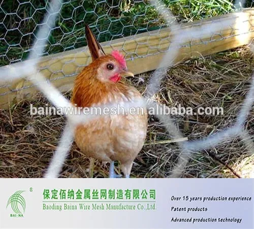 Hexagonal Wire Mesh Chicken Palace and Unobstrusive Chicken Fencing