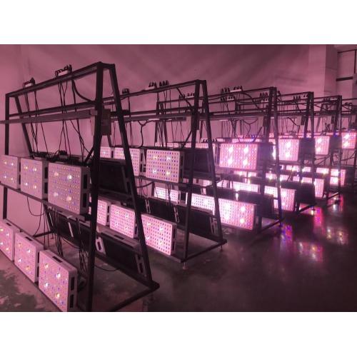 Phlizon cob led Grow Light 1000W