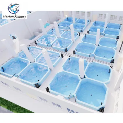 Commercial RAS Aquaculture for Tilapia and Salmon Farming