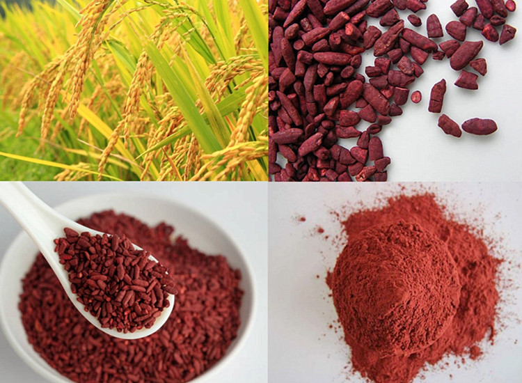 Red Yeast Rice Extract