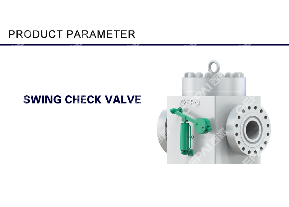 Swing check valve