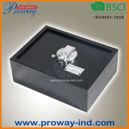 Fingerprint floor secret safe