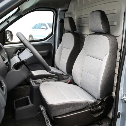 2024 SAIC-GM-Wuling Yangguang Adult Cheap 4 Wheel Electric Vehicle for Sale