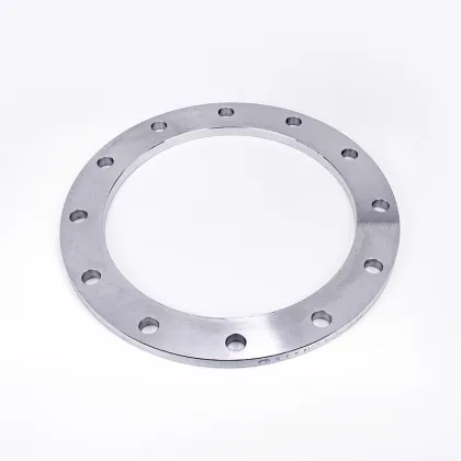 customized non standard flange