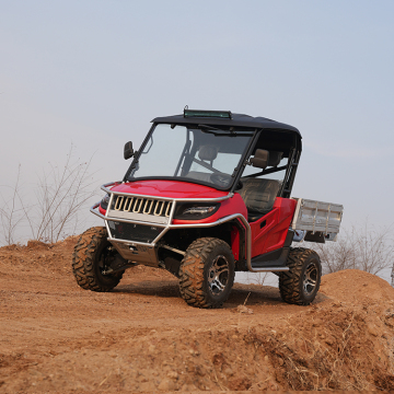 Elettrico di alta qualità Electric Side-by lato UTV 336V per all'aperto
