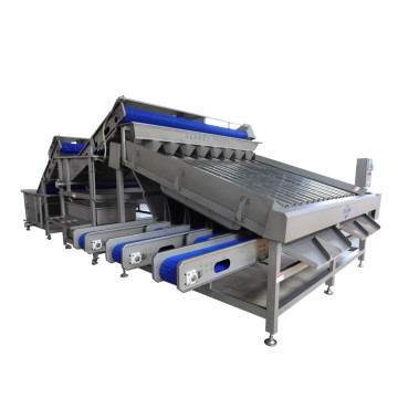 Shrimp Grading Machine