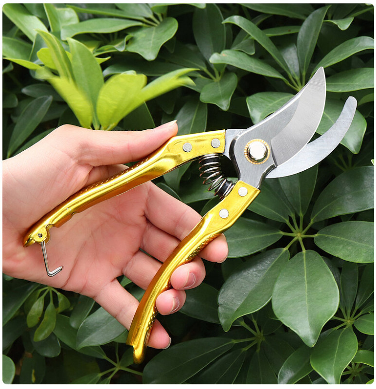 SK5 steel fruit cutting branch bypass pruning cutter garden bonsai pruner outdoor gardening tools