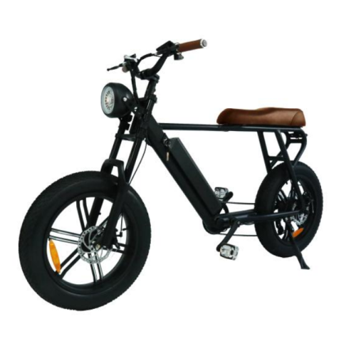 step through vintage high speed electric bicycle