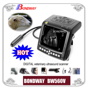Digital Veterinary Ultrasound Scanner for Equine, Bovine, Swine, and Other Small Animal Scanning