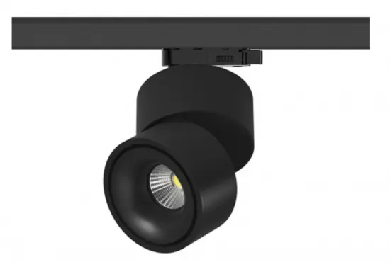 Hot Selling CE Rohs 20W Led COB downlight