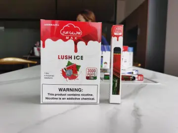 Disposable 3000 Puffs Vape