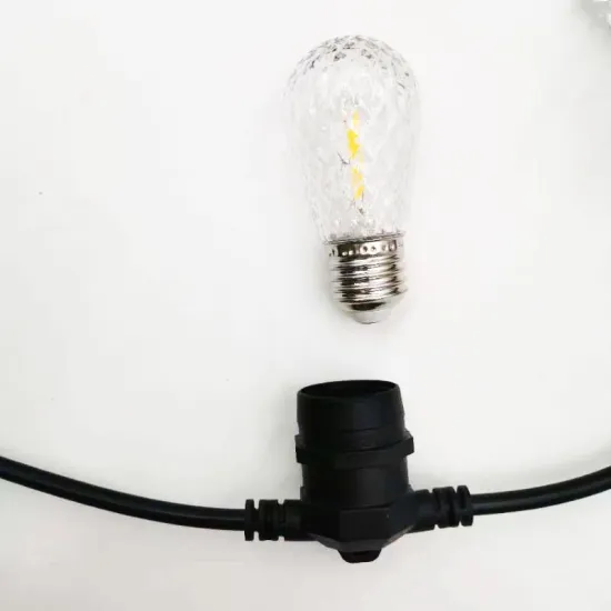 Decorative Garden Festoon S14 String Light for Production Factory