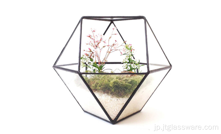 丸い透明な幾何学的な正方形のガラスハンギングテラリウム
