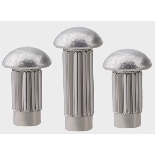 Stainless Steel Dome Head Rivets For Name Plate