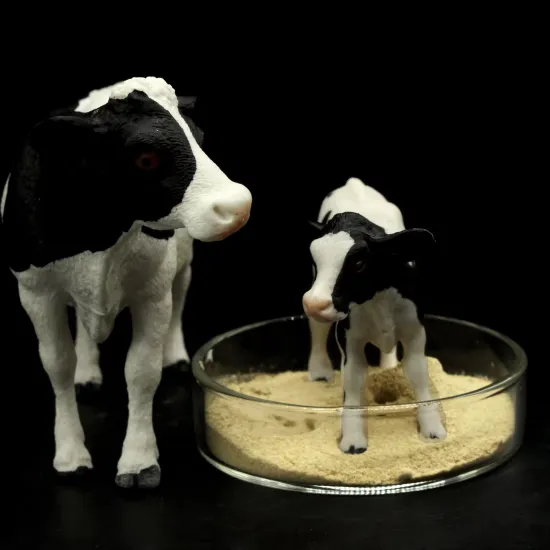 Brewers yeast for feed additive protein