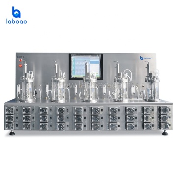 Laboao Micro Fermenter Bioreactor: Versatile Glass Bioreactors for Efficient Microbial Cultivation