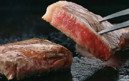 Beef and Mutton Steak Tenderizer Machine