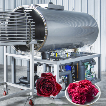 Chinese Cheap Large Automatic 30 kg Freeze Dryer Machine for Flowers