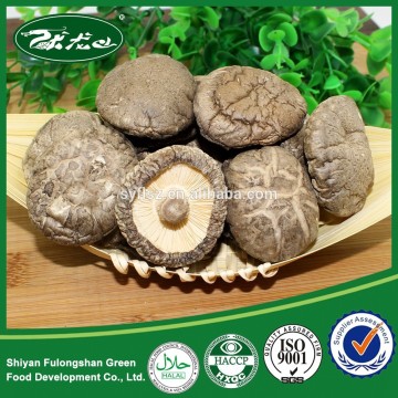 China Grow Brown Color Smooth Surface Dried Mushroom Cheap Price