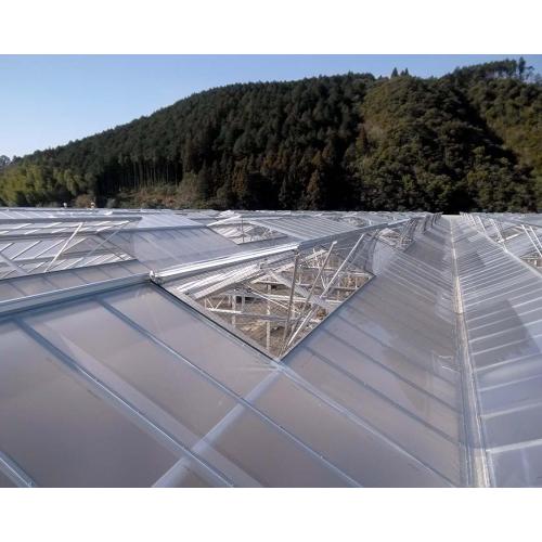 Aluminum Gutter Film Covered Greenhouse