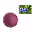 Natürliches Bio -Blaubeer -Saft -Pulver