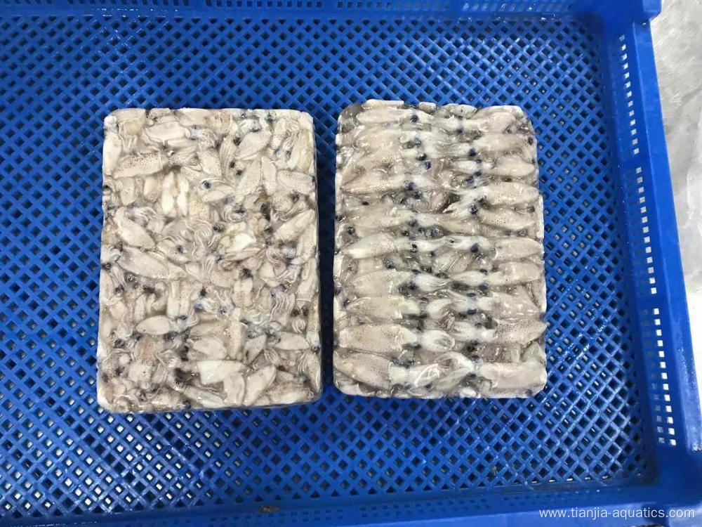 Hot sale Top class baby squid Loligo Japonica